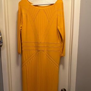 Nice knit dress.  Never worn it.